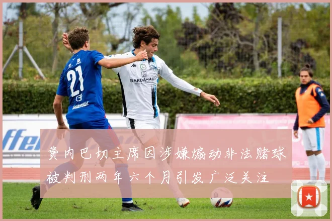 费内巴切主席因涉嫌煽动非法赌球被判刑两年六个月引发广泛关注
